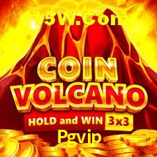 Exclusive Offers Pgvip