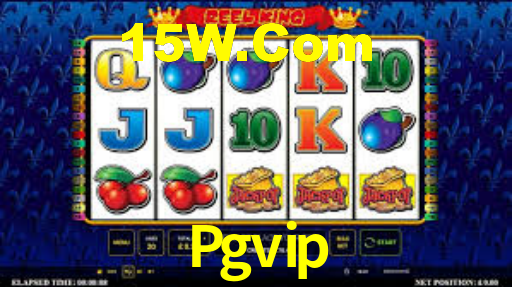 Programa VIP Pgvip